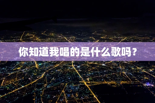 你知道我唱的是什么歌吗？