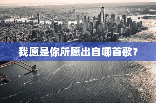 我愿是你所愿出自哪首歌？