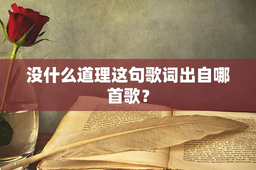没什么道理这句歌词出自哪首歌？