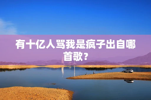有十亿人骂我是疯子出自哪首歌？