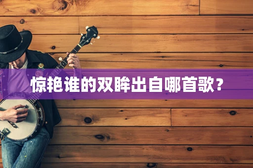 惊艳谁的双眸出自哪首歌？