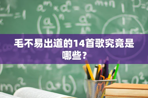 毛不易出道的14首歌究竟是哪些？