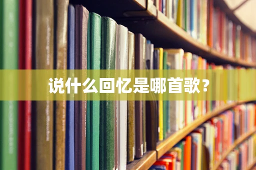 说什么回忆是哪首歌？