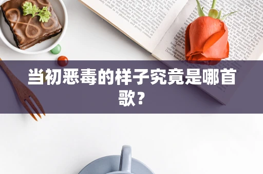 当初恶毒的样子究竟是哪首歌？
