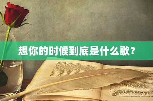 想你的时候到底是什么歌？