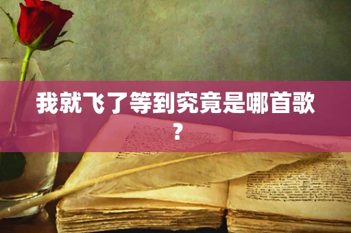 我就飞了等到究竟是哪首歌？