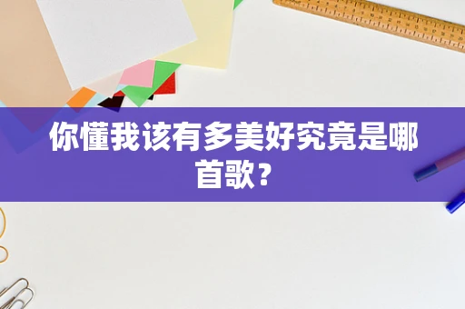 你懂我该有多美好究竟是哪首歌？