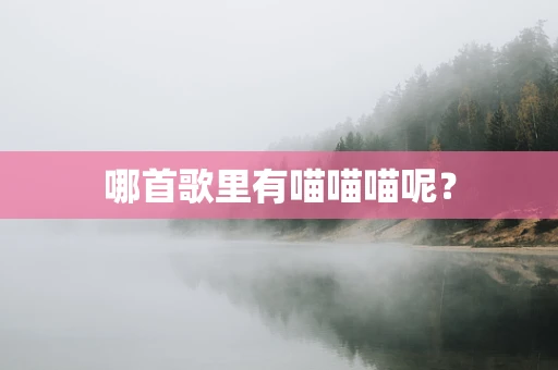 哪首歌里有喵喵喵呢？