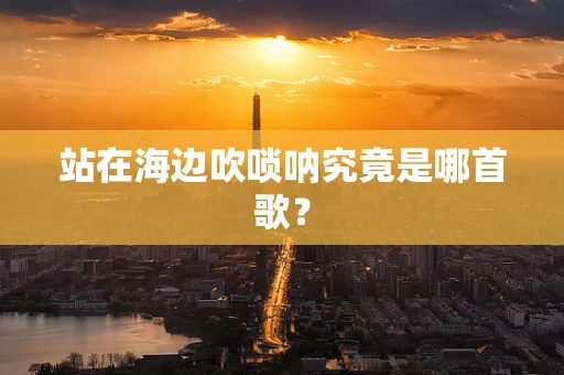 站在海边吹唢呐究竟是哪首歌？