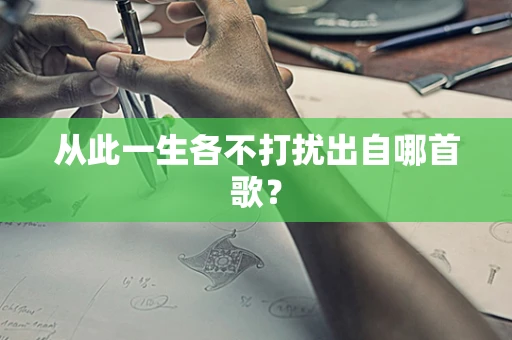 从此一生各不打扰出自哪首歌？