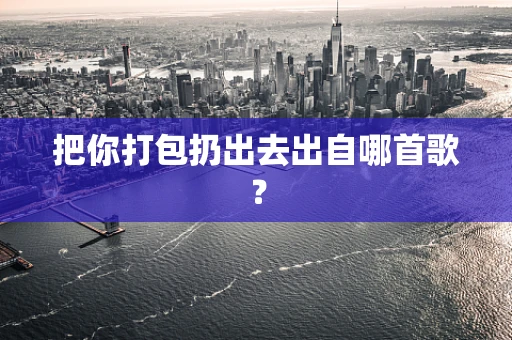 把你打包扔出去出自哪首歌？