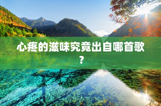 心疼的滋味究竟出自哪首歌？
