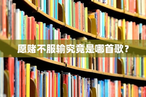 愿赌不服输究竟是哪首歌？