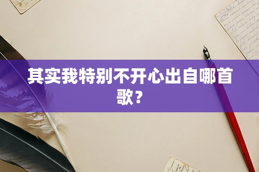 其实我特别不开心出自哪首歌？