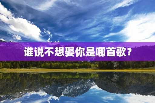 谁说不想娶你是哪首歌？