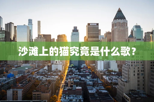 沙滩上的猫究竟是什么歌？