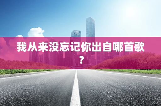 我从来没忘记你出自哪首歌？