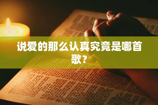 说爱的那么认真究竟是哪首歌？