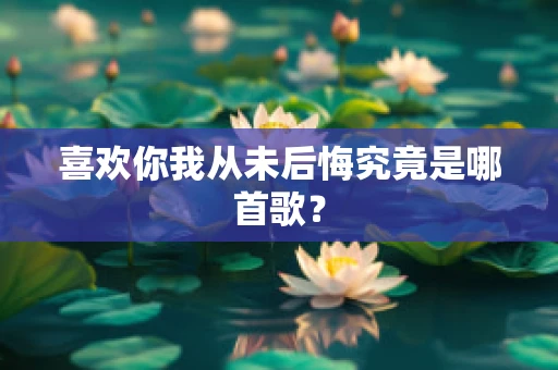 喜欢你我从未后悔究竟是哪首歌？