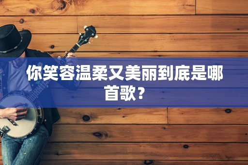 你笑容温柔又美丽到底是哪首歌？