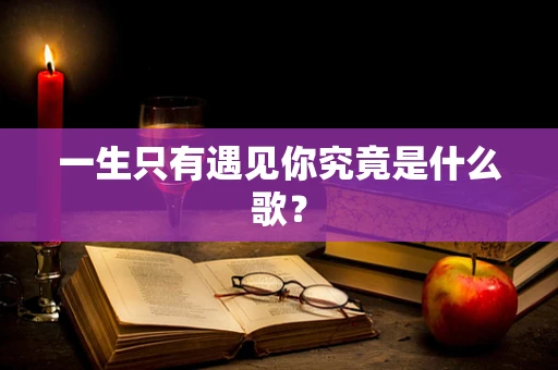 一生只有遇见你究竟是什么歌？