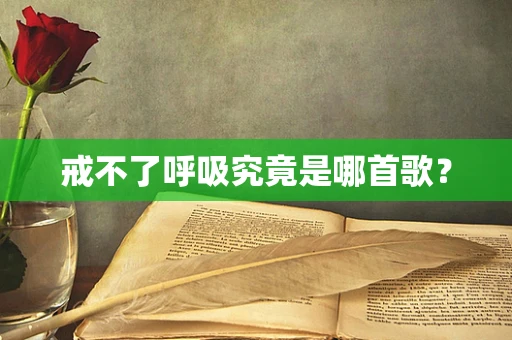 戒不了呼吸究竟是哪首歌？