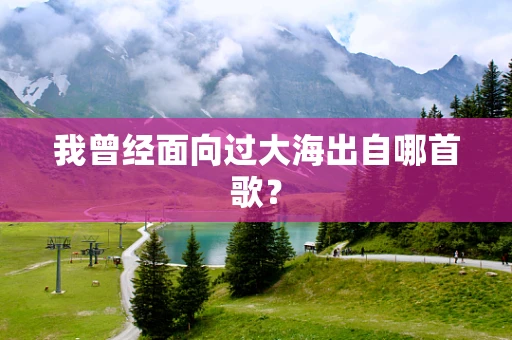 我曾经面向过大海出自哪首歌？