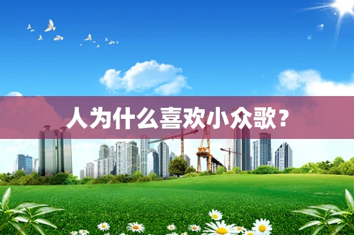 人为什么喜欢小众歌？