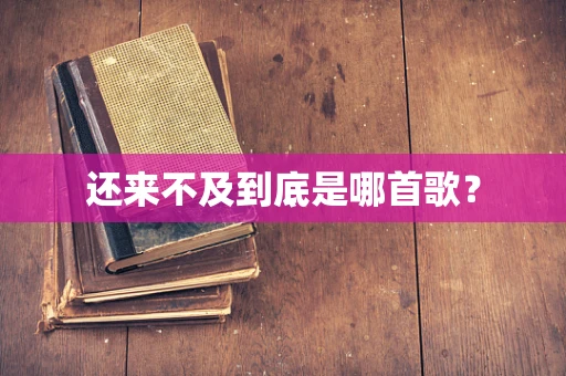 还来不及到底是哪首歌？