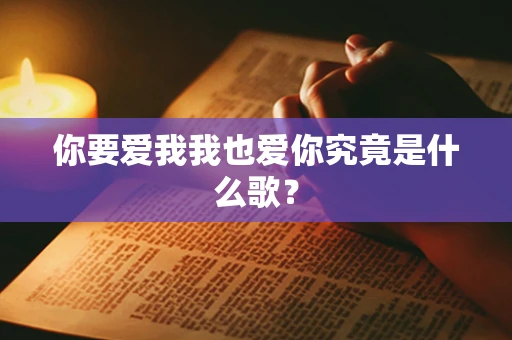 你要爱我我也爱你究竟是什么歌？