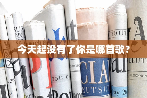今天起没有了你是哪首歌？
