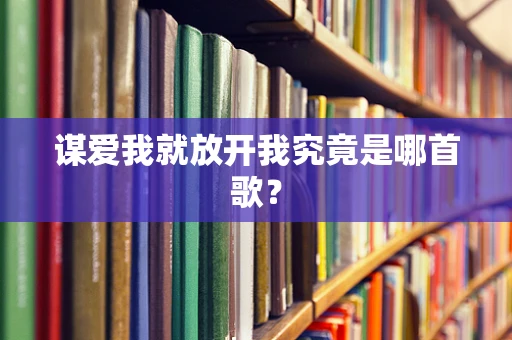 谋爱我就放开我究竟是哪首歌？