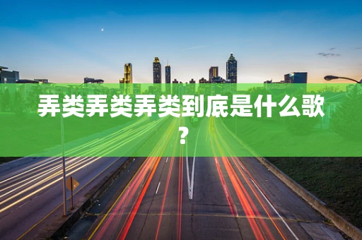 弄类弄类弄类到底是什么歌？
