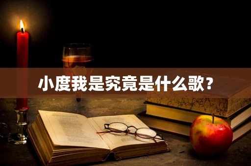 小度我是究竟是什么歌？