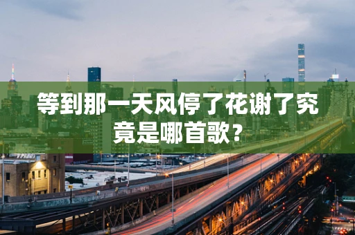 等到那一天风停了花谢了究竟是哪首歌？