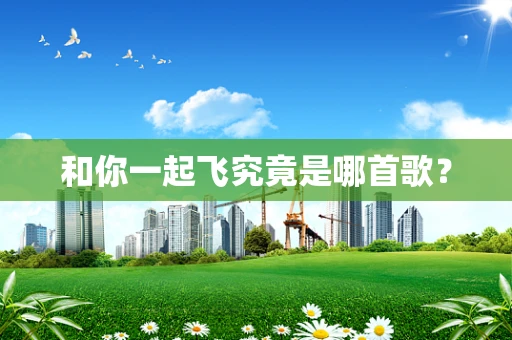 和你一起飞究竟是哪首歌？