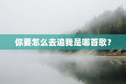 你要怎么去追我是哪首歌？