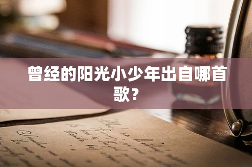 曾经的阳光小少年出自哪首歌？