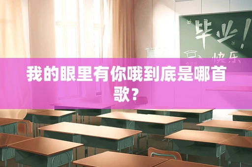 我的眼里有你哦到底是哪首歌？