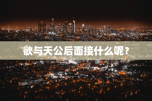 欲与天公后面接什么呢？