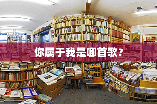 你属于我是哪首歌？