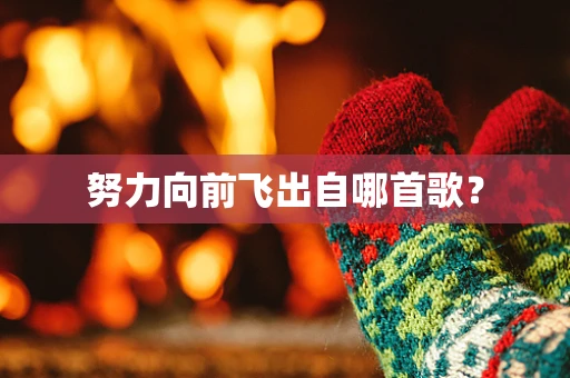 努力向前飞出自哪首歌？