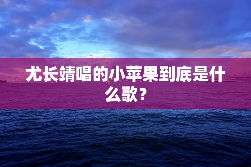 尤长靖唱的小苹果到底是什么歌？