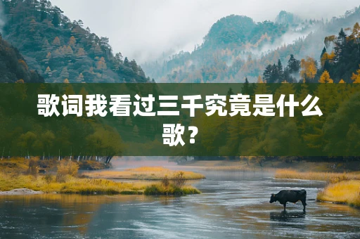 歌词我看过三千究竟是什么歌？