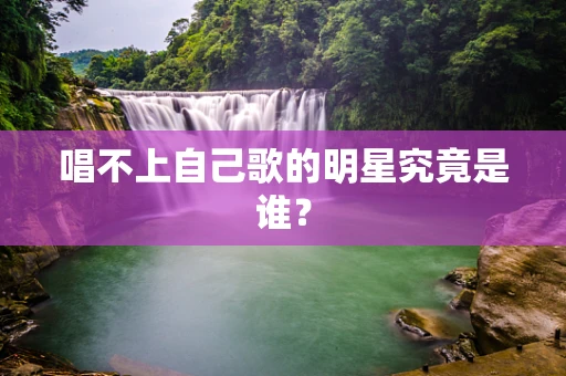 唱不上自己歌的明星究竟是谁？