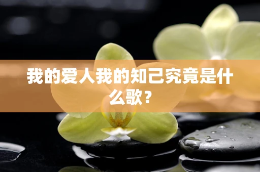 我的爱人我的知己究竟是什么歌？