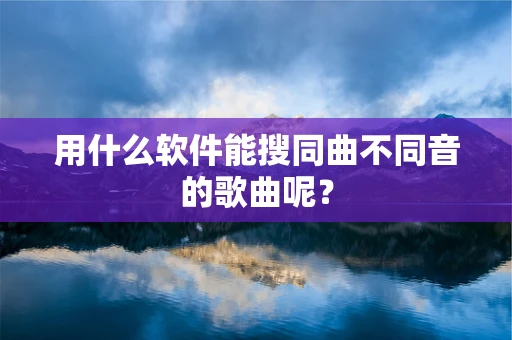 用什么软件能搜同曲不同音的歌曲呢？