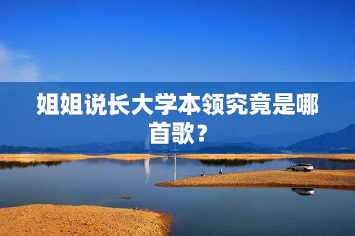 姐姐说长大学本领究竟是哪首歌？