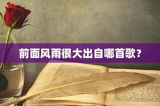 前面风雨很大出自哪首歌？