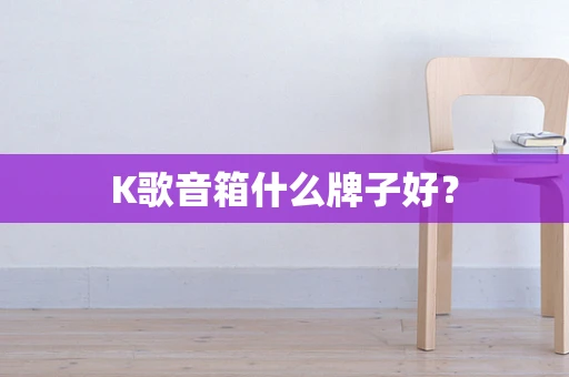 K歌音箱什么牌子好？